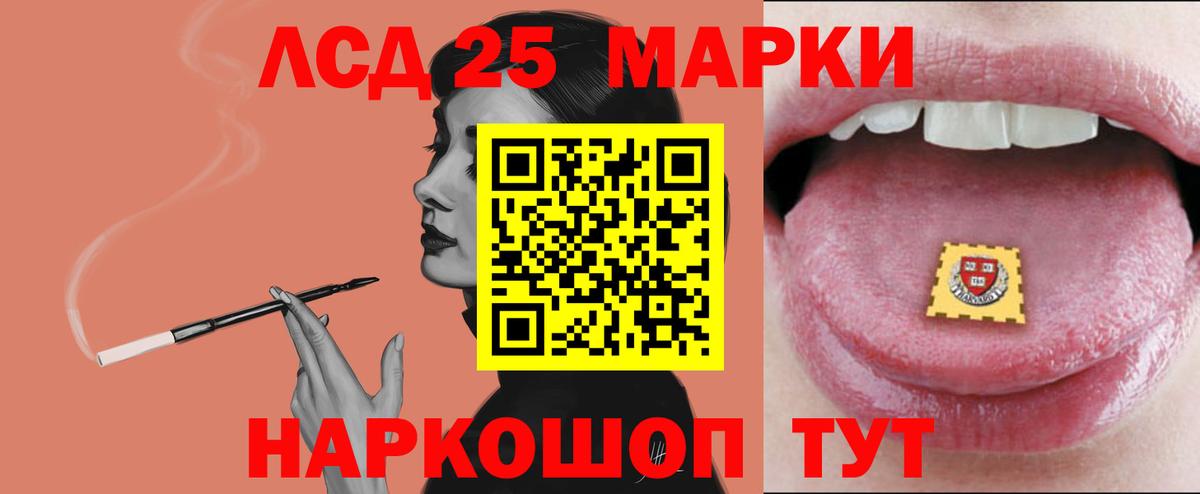 Кингисепп  omg ссылки  ЛСД экстази кислота  Вход с VPN  Лсд 25 экстази кислота 