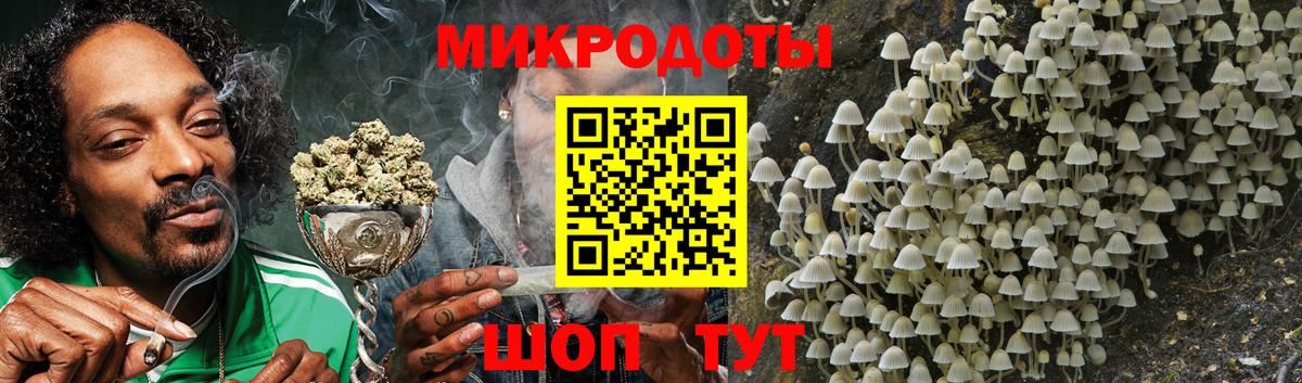 Галлюциногенные грибы MAGIC MUSHROOMS  Вход с VPN  Галлюциногенные грибы ЛСД  Кингисепп 