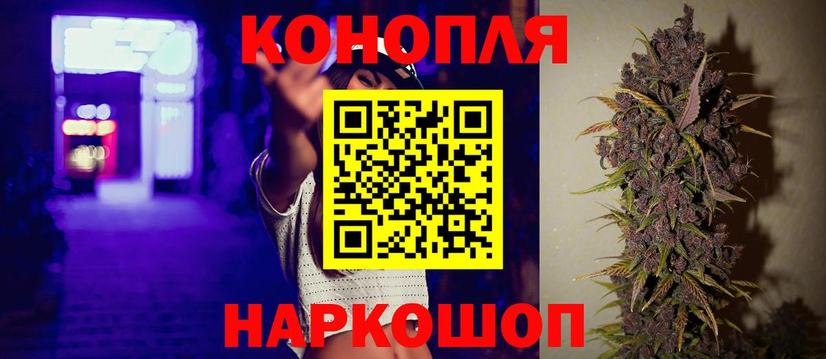 Канабис план Кингисепп
